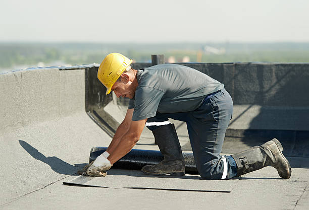 Best Commercial Insulation in Lynn Haven, FL